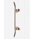 GLOBE ENVIRONMENTALIST MICRO 6.5" KIDS
