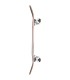 GLOBE G1 STACK 8.25